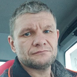 �������, �����, 46 ���