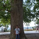 ���� ���, �����, 48 ��� - ��������� 30 ����� 2021 � ������ �����