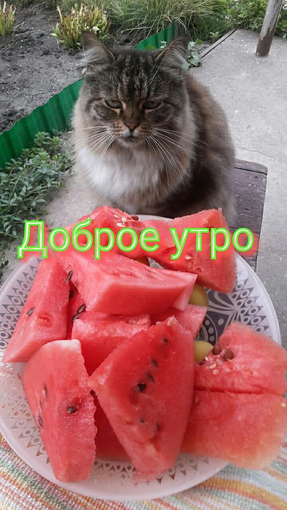   ,    . - 15  2021  23:45 - 7