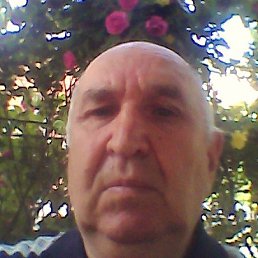 ������, ���������, 79 ���