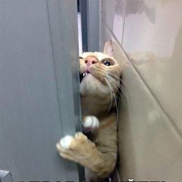 ���� ����, �����-���������, 36 ��� - ��������� 13 ���� 2021