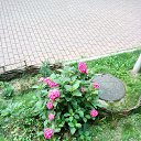 ������� - �����..., �� ���..., �� �����������! ))) �� ������ ����� - ���� 2021. ���� ��������� ������������ ����������... ))) �� ������� ����������� )))�