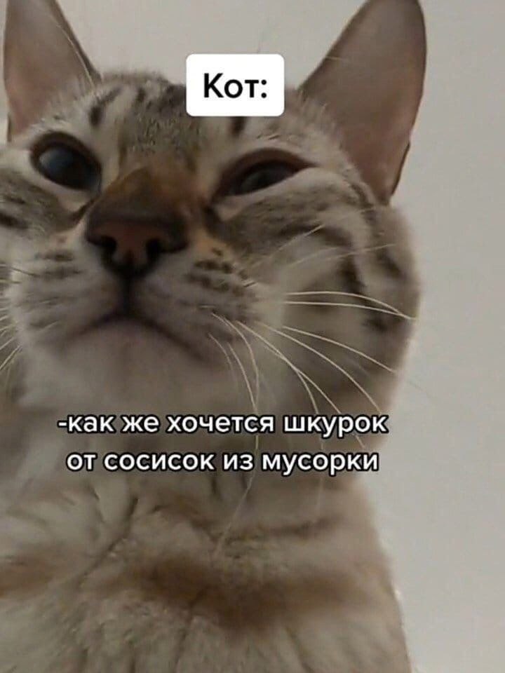   .    ,   -   ... - 2