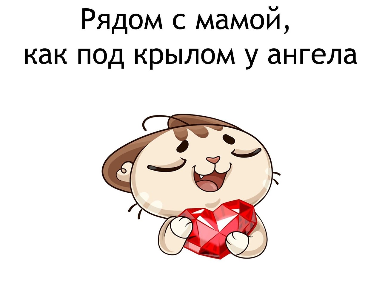   - 5  2022  12:31