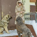 ���� Len� 66, ������ - ��������� 9 ������� 2021 � ������ ���� ������