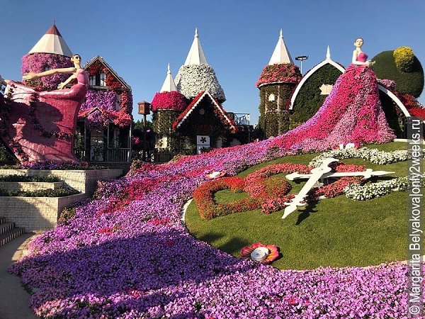 Самый большой в мире цветочный парк находится в Дубае. Miracle Garden. - 4