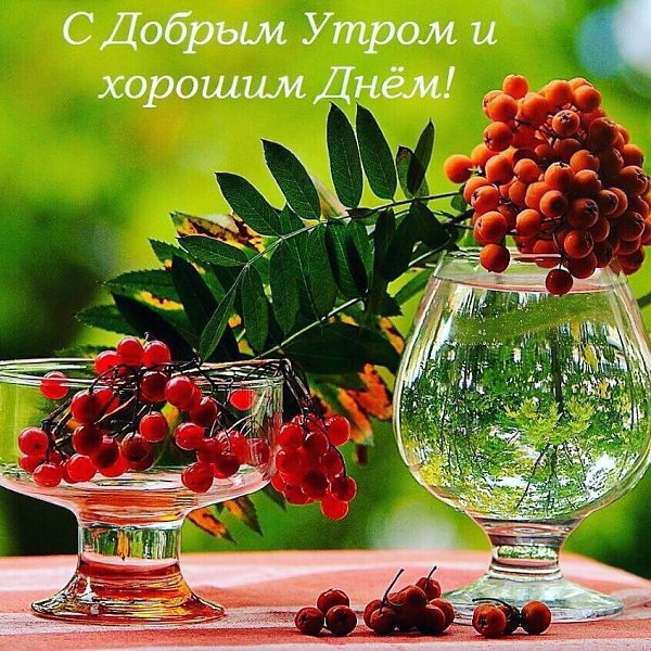 ***Victoria Viktorovna*** - 17  2021  05:44 - 2