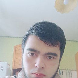  Lion, 28, 