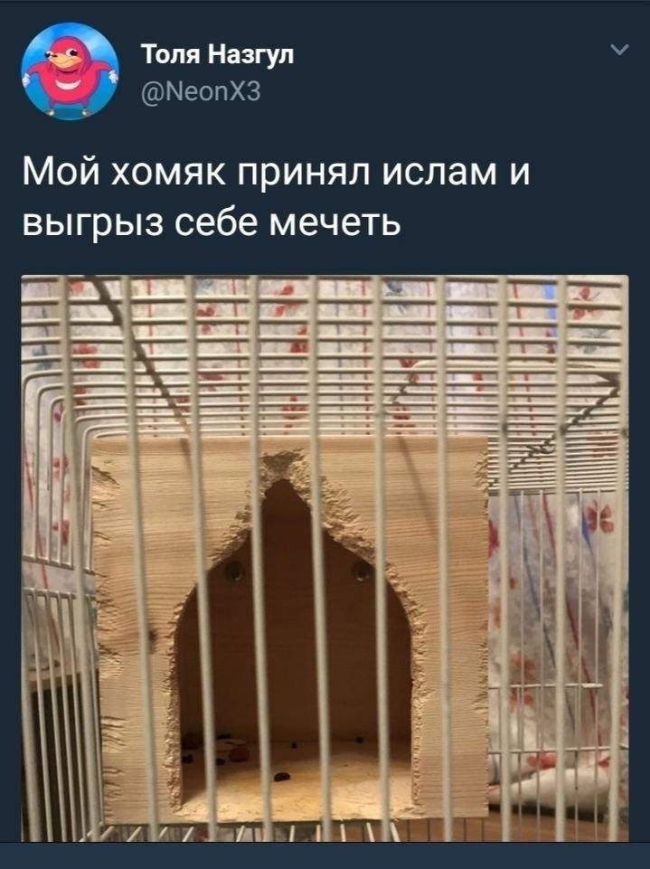 -hamster |hmstr| .M aec,   x po, - a... a ee c ...