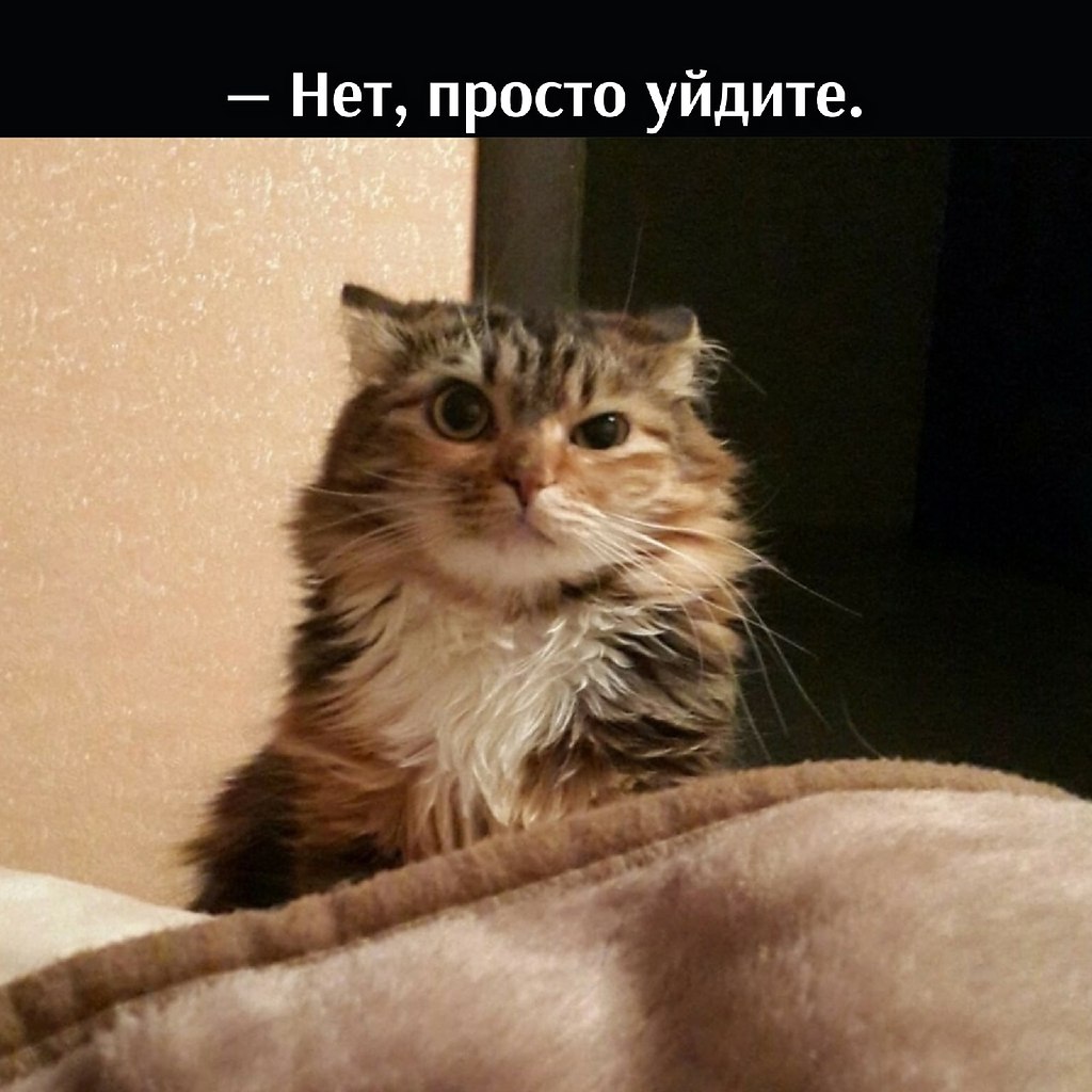       - 2  2021  12:47 - 3