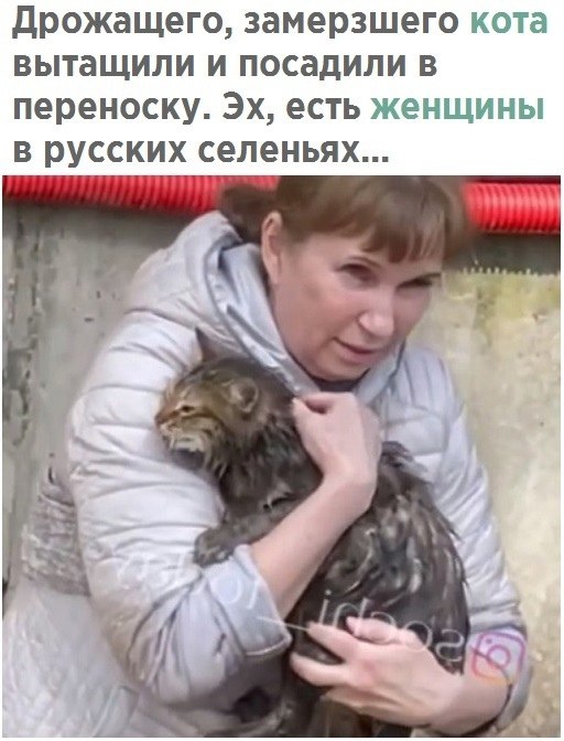 �� � �������� - 27 ����� 2021 � 08:23 - 3