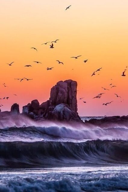 ��������, ��������, ���� ���������� �����, ���� ���������� ����� �� �� ��� ����, ���������� �� ��� ... - 2