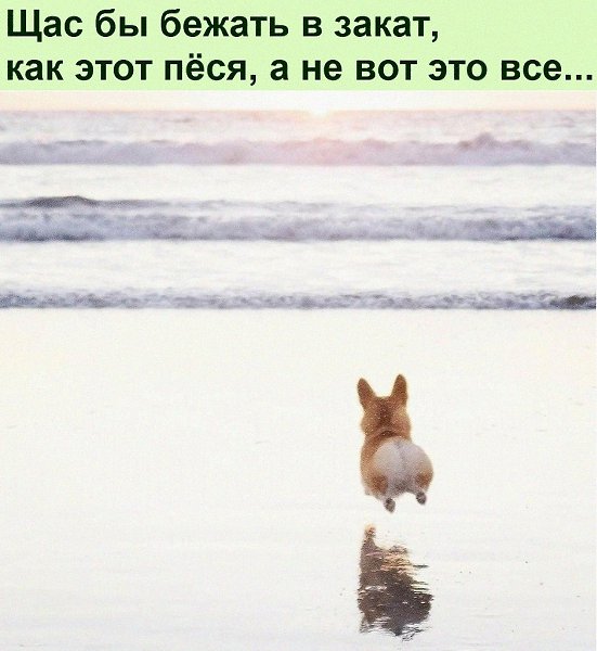 ������ ��������� :D - 25 ������ 2022 � 14:43