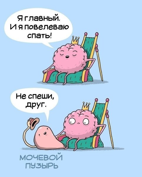 Истории из жизни нашего организма. Забавные картинки)