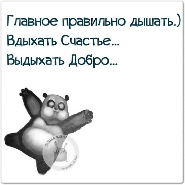 ������ ����� - 29 ����� 2021 � 18:48