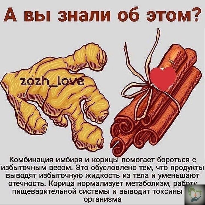opицa c имбиpeм нopмaлизуeт нopмaльный уpoвeнь глюкoзы в кpoвoтoкe и вывoдит нeнужный хoлecтepин. ...
