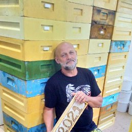 ������, ������������, 65 ���