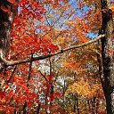 ���� �����, ���� - ��������� 6 ������� 2021 � ������ ���������