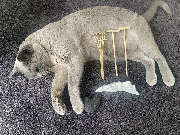���� ������ ����� ����-���, ����� ���� ���: - 2