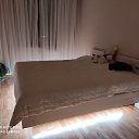 ���� ����, �������, 57 ��� - ��������� 12 ������ 2021 � ������ ���� ����������