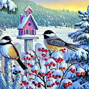 ���� �����, ���� - ��������� 30 ������ 2021 � ������ ������ ��������