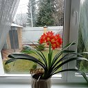 ���� �������, �������, 65 ��� - ��������� 20 ������ 2022 � ������ ���� ����������