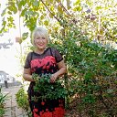  Lyudmila,  -  3  2021    