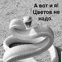 ���� )�������(, ������, 50 ��� - ��������� 28 ������� 2021 � ������ ������ ��������