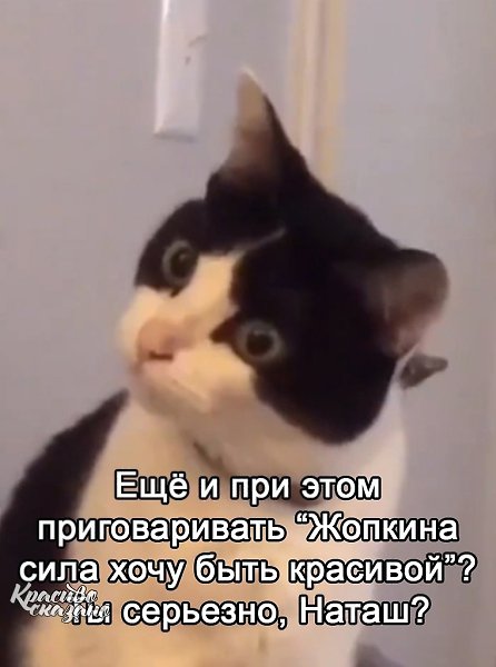 ,      - 4