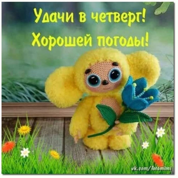   ,    . - 29  2021  13:53 - 3