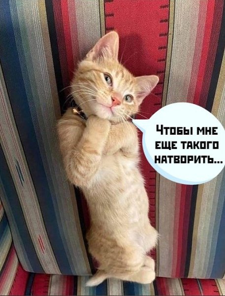 ��� ���� � ����� �� �� - 12 ��� 2021 � 21:22