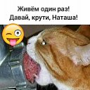 ���� �������, ����, 43 ���� - ��������� 24 �������� 2021 � ������ ������ ��������