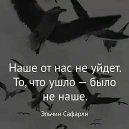 ���� ������, ��������, 48 ��� - ��������� 4 ������� 2021