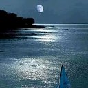 ���� ��������, ����-�����������, 57 ��� - ��������� 23 �������� 2021