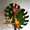  , , 59  -  17  2021    )