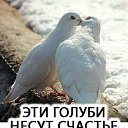 ���� �������, ���������, 48 ��� - ��������� 25 ������ 2021 � ������ ���� ����������