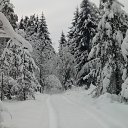 ���� �������, �����, 59 ��� - ��������� 4 ��� 2021 � ������ ���� ����������