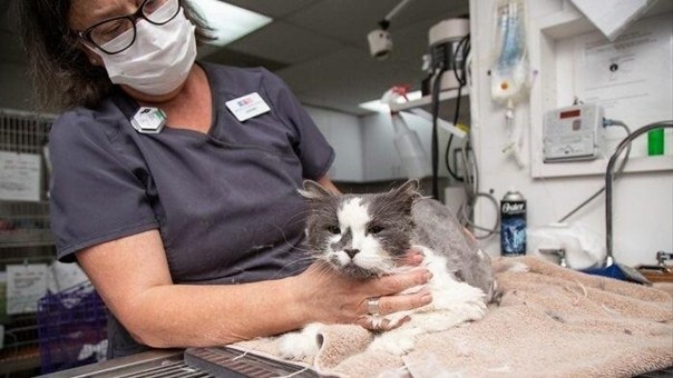 ������������ ������ ����� 1 �� ������ � �������� �����.�.� ��� ������� ����� ��������� �������� - 6