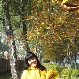 ������, ����, 47 ���