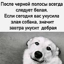  , , 43  -  22  2021    