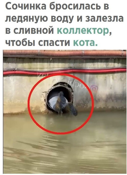 �� � �������� - 27 ����� 2021 � 08:23