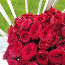 ���� �����, ������, 51 ��� - ��������� 29 ������ 2021 � ������ ���� ����������