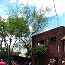 ���� �������, �������, 73 ���� - ��������� 11 ������� 2021 � ������ ���� ����������