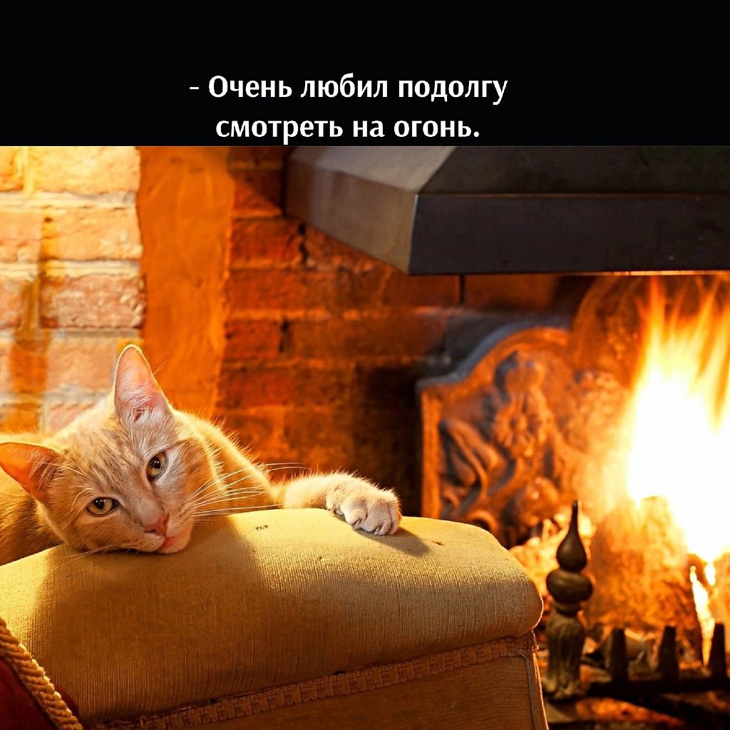       - 8  2022  15:19 - 4