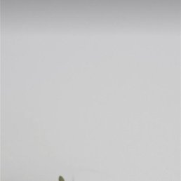 ����, ������, 26 ���