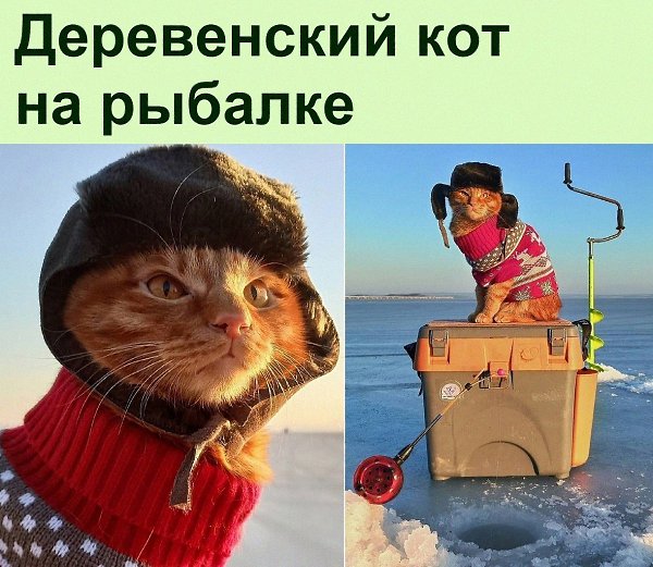   :D - 11  2022  12:25