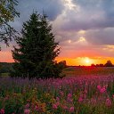 ���� ��������! �� ������� �����������