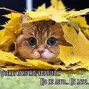 ���� �����, ���� - ��������� 24 �������� 2021 � ������ ������ ��������