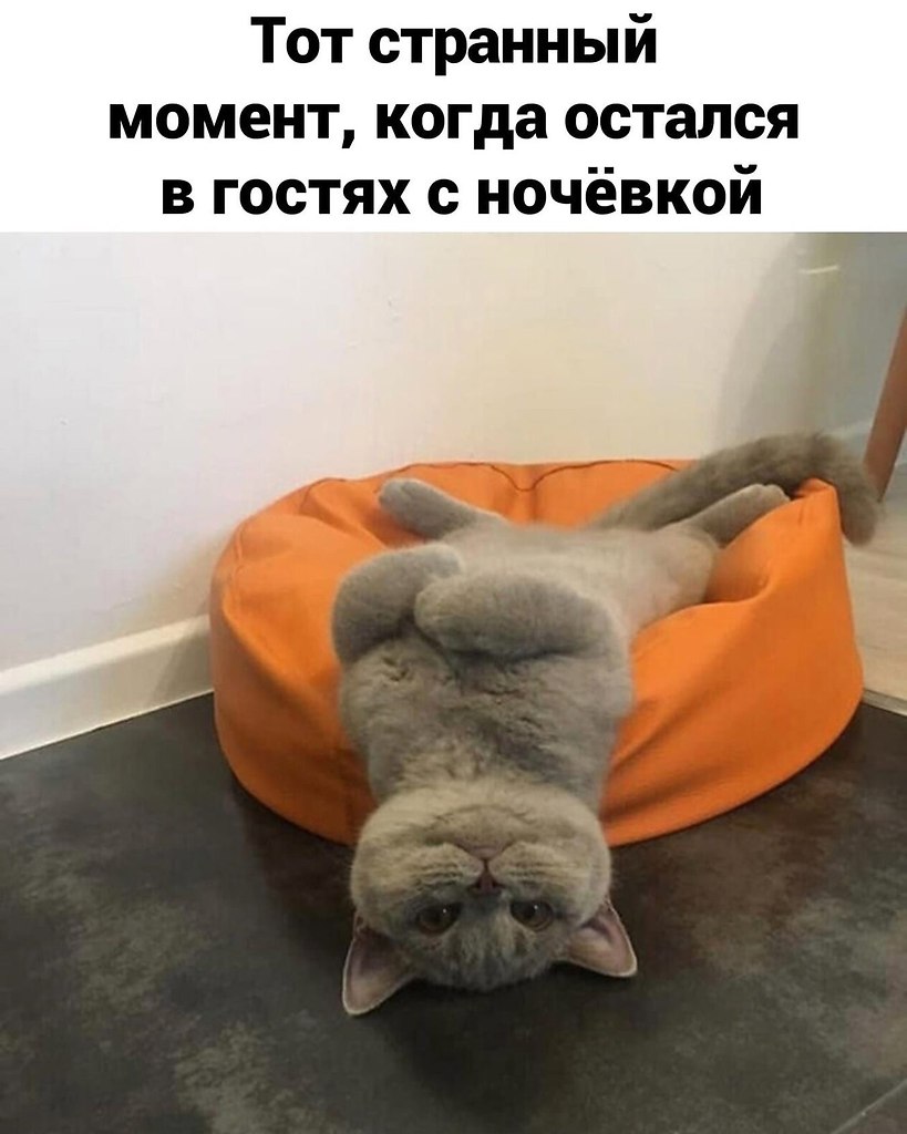 ����, ��� �� ���������� ����� �������� � ����� ���������! ������� ����������