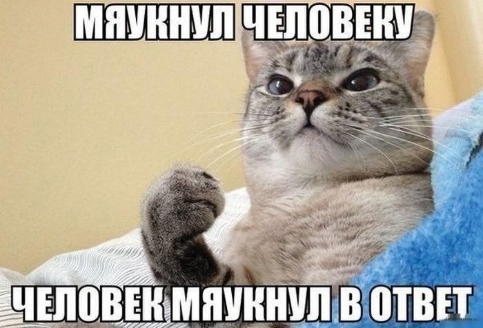    - 23  2021  04:40